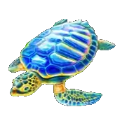 amazing link poseidon turtle