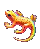 amber island action boost lizard symbol